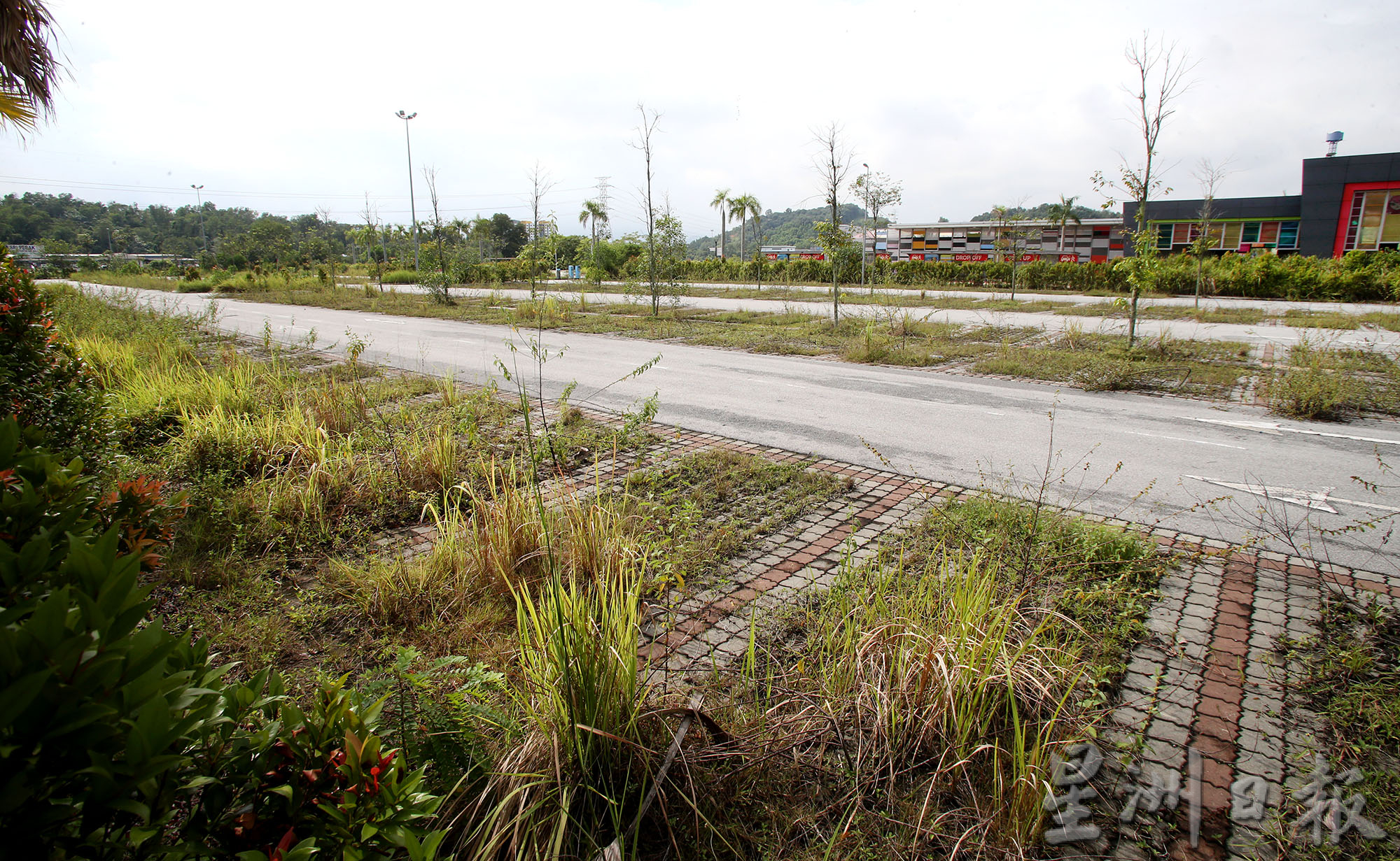 动漫影城主题乐园人潮绝迹 野草丛生一片荒凉