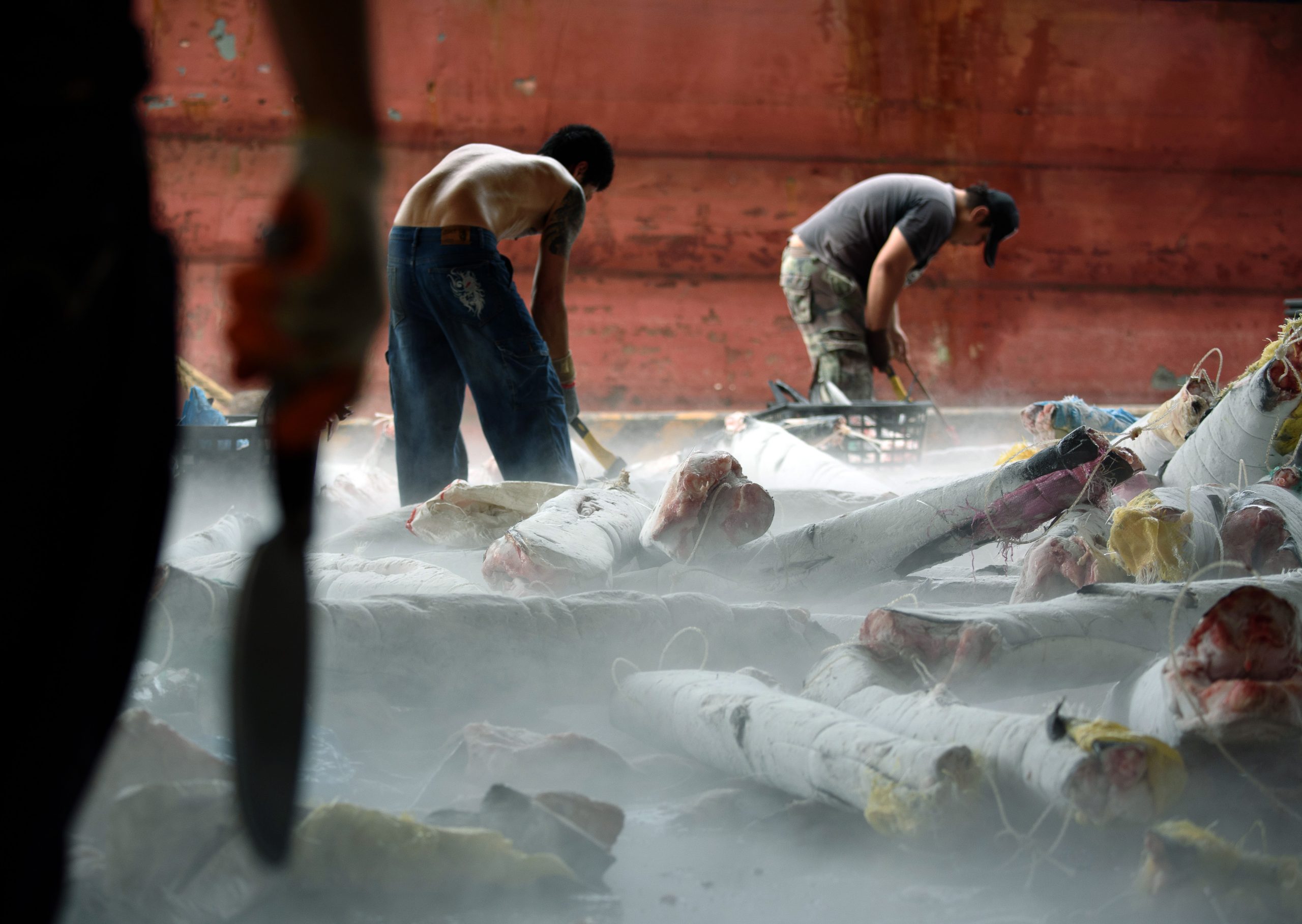 可做版头（大都会）第25届吉隆坡摄影节／5图有表