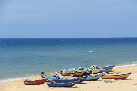 地方DNA/卓衍豪/摆脱“公约数思维”