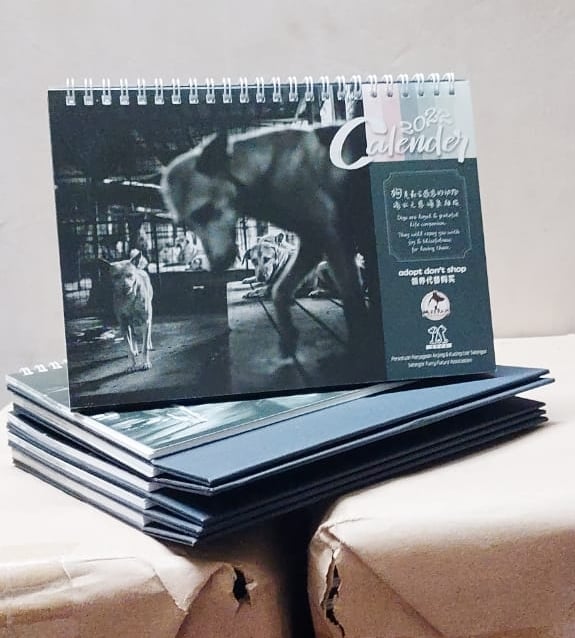 大都会-美花动物收容所售月历 3图