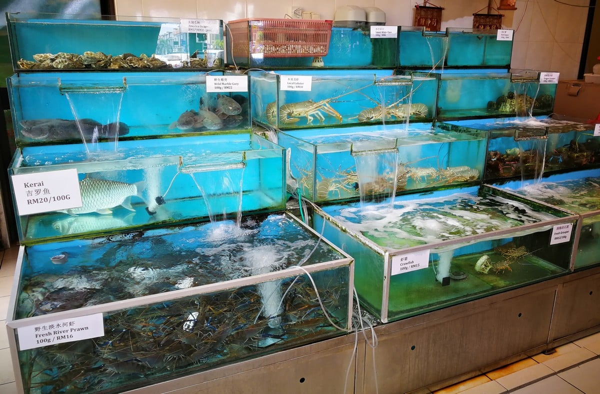 大都会 /ME04头/ 雪州旅游区的海鲜楼,金目鲈鱼的价格 / 5图