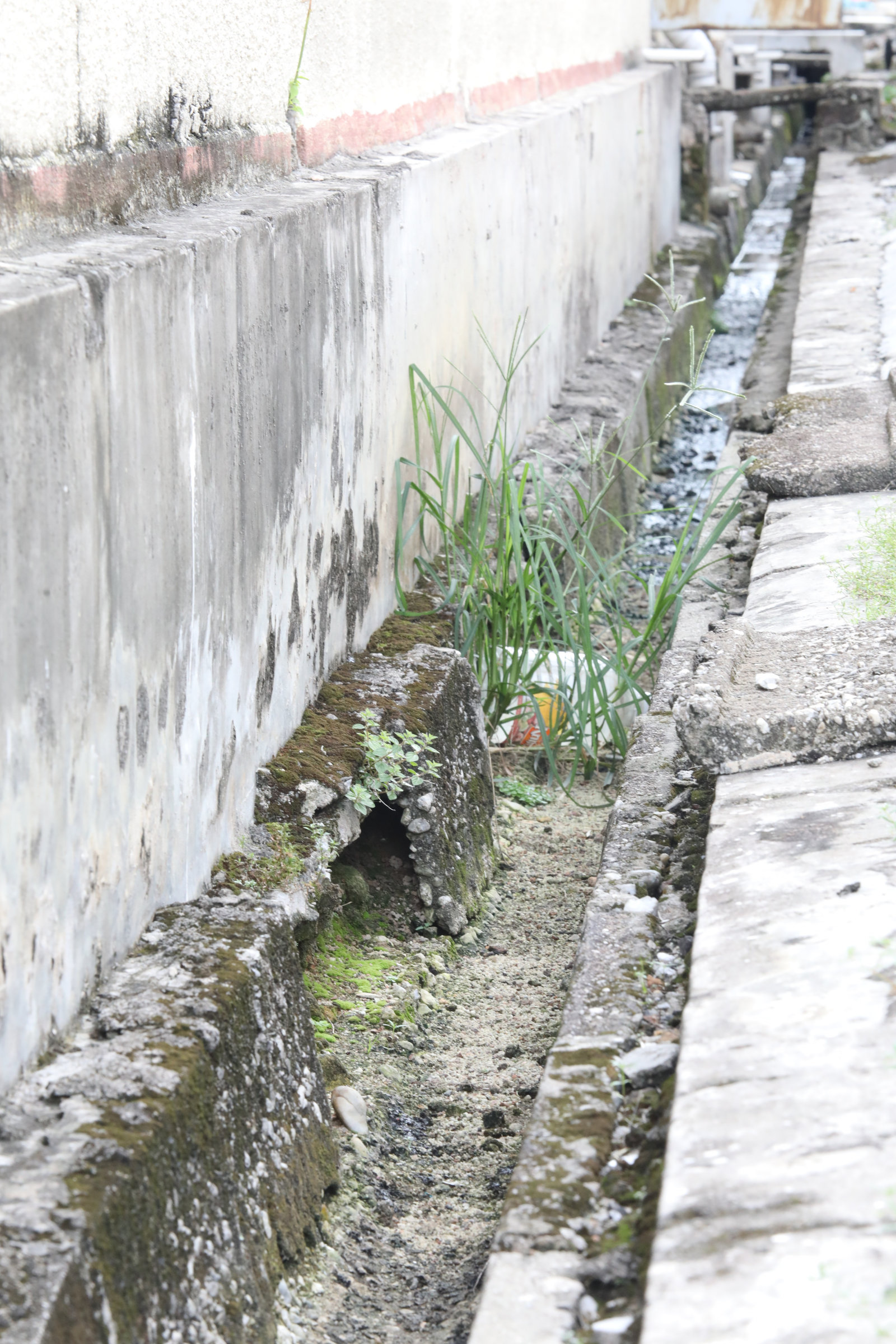 大都会10/沟渠年久失修以致住家墙面崩裂/12图