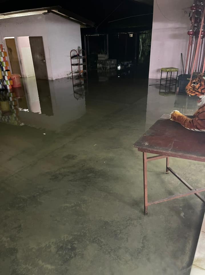 大都会封面/滨海区涨潮情况