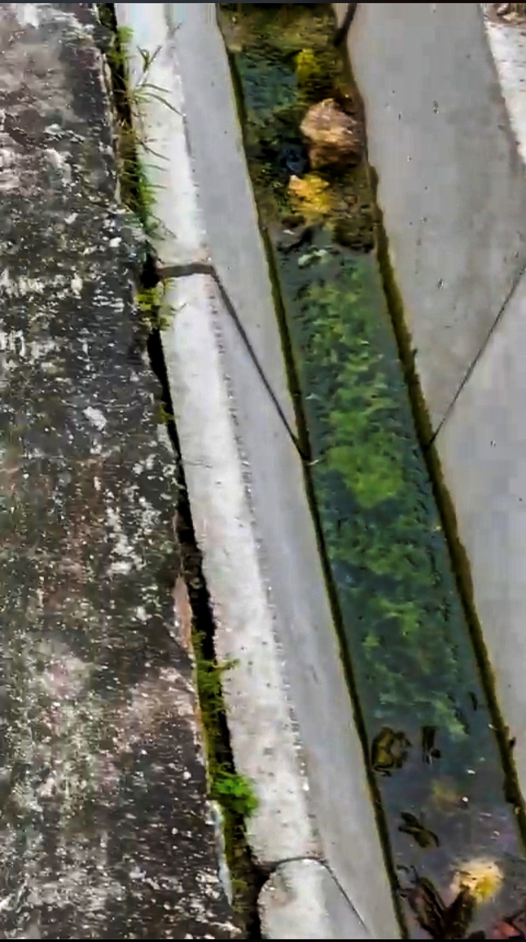 大都会/水灾问题