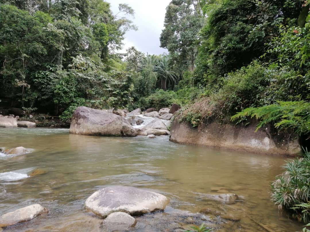 大都会:男子遇溺乌雪再添一魂/2图