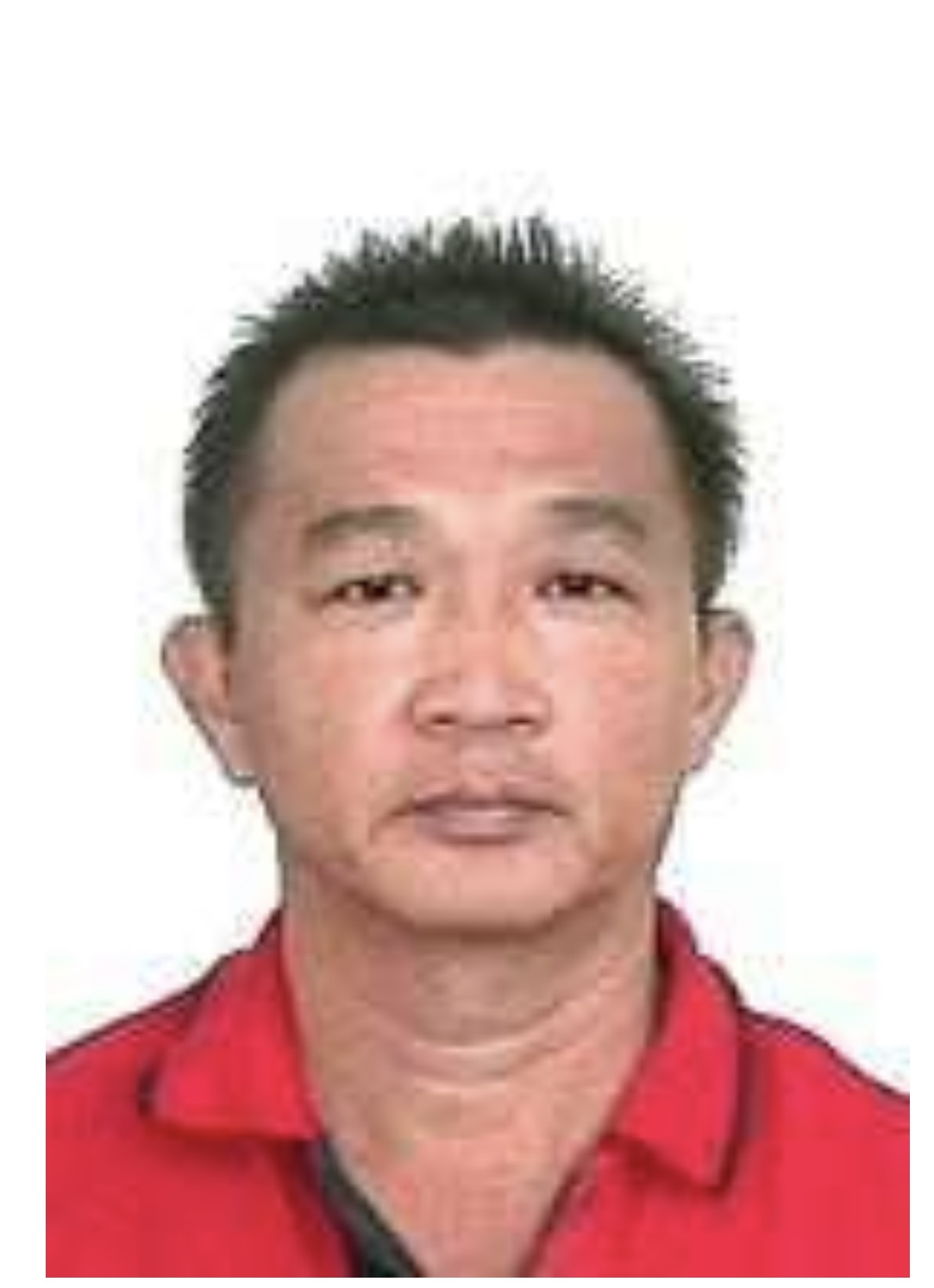 大都会:联邦村长职马华失而复得/11图
