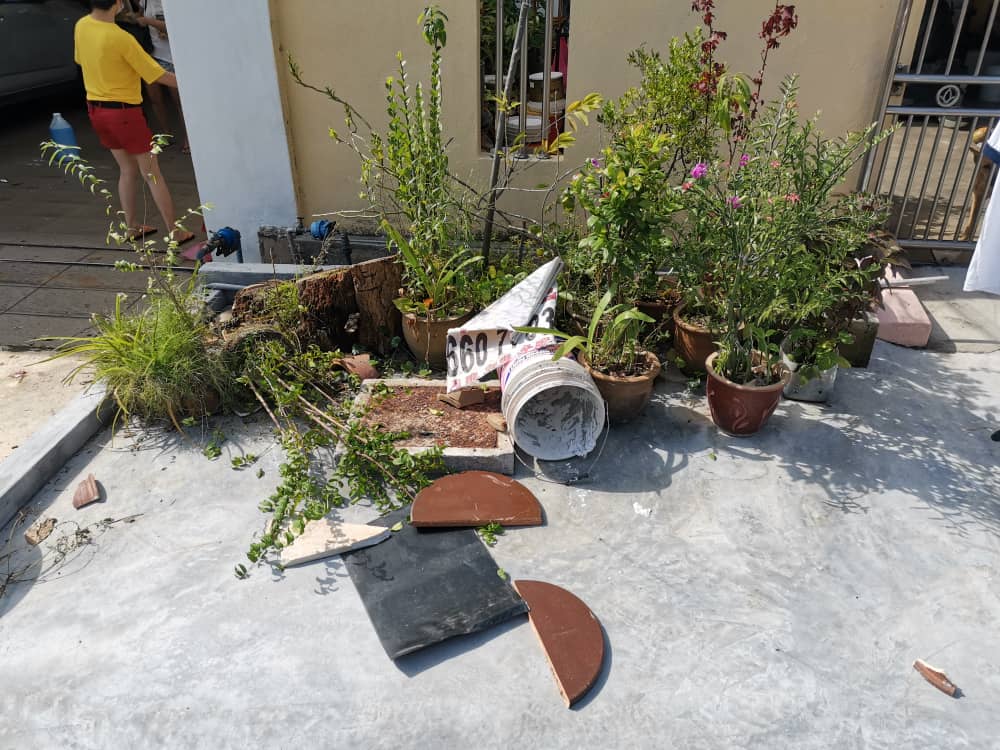 封面-大都会/动物滋扰成市议会第一大投诉/9图