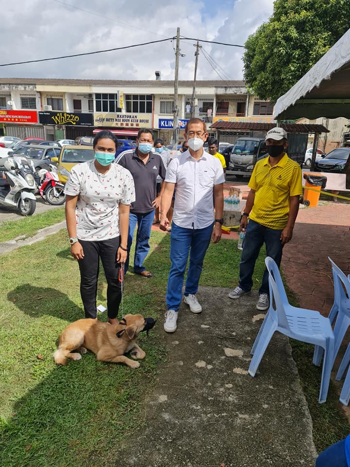 封面-大都会/动物滋扰成市议会第一大投诉/9图