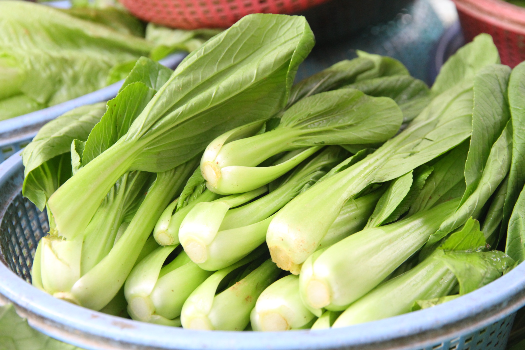 封面－大都会/跟进蔬菜涨价／13图