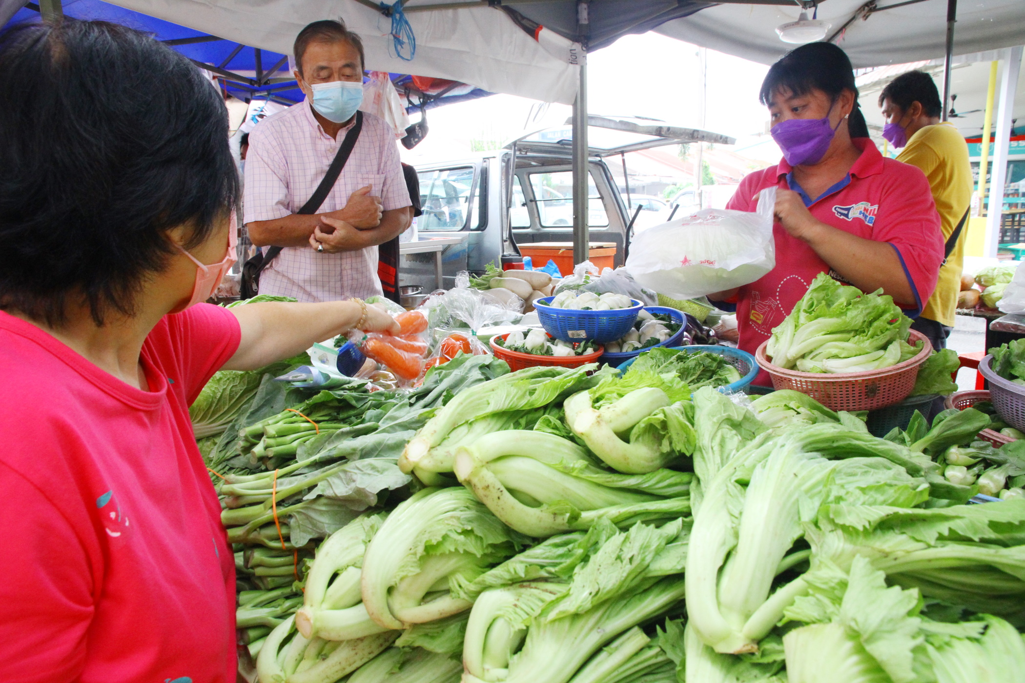 封面－大都会/跟进蔬菜涨价／13图