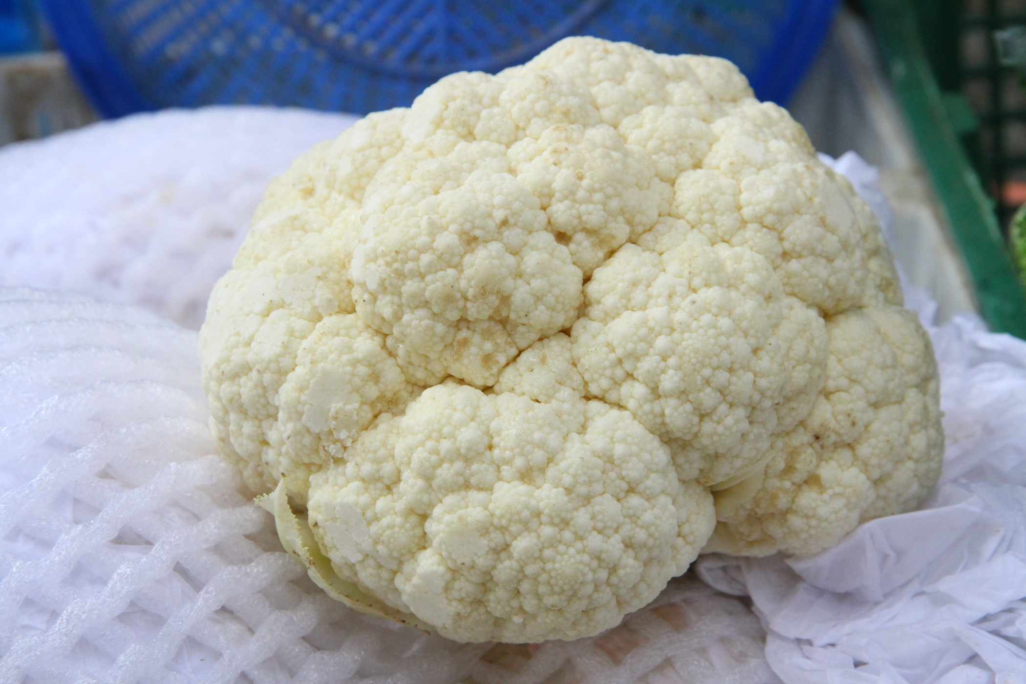 封面－大都会/跟进蔬菜涨价／13图