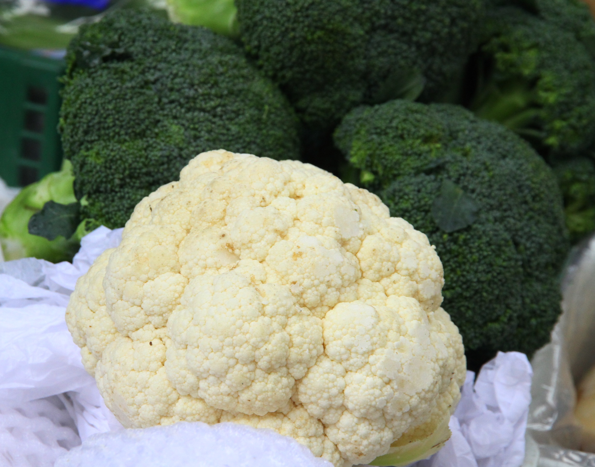 封面－大都会/跟进蔬菜涨价／13图