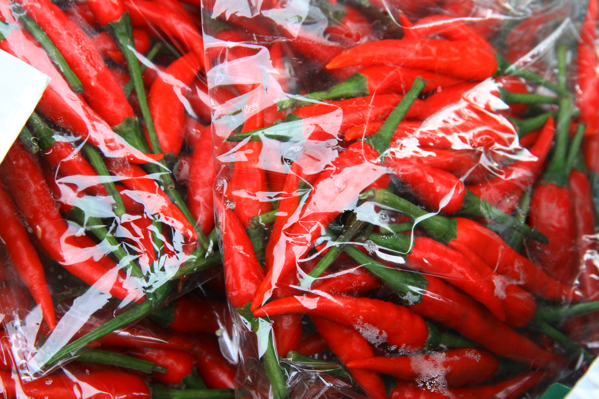 封面－大都会/跟进蔬菜涨价／13图