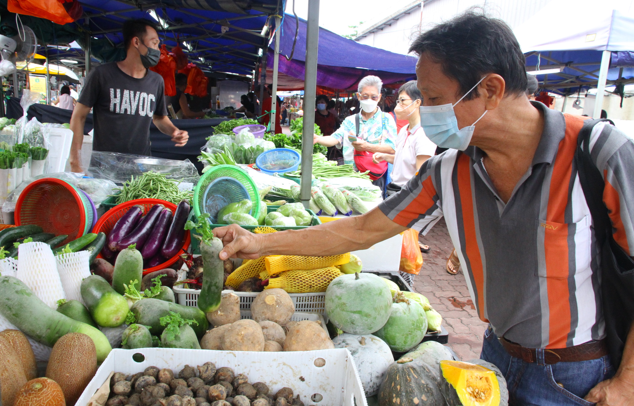 封面－大都会/跟进蔬菜涨价／13图