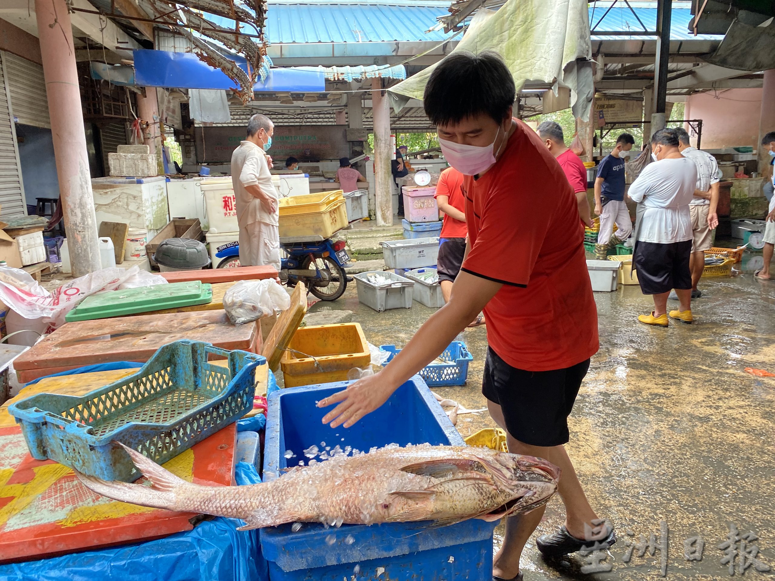 **已签发(请置头条)**柔:封面:特稿:【复苏期中乡镇游】之麻坡篇:走进渔村体验悠闲,到巴冬走一趟人文生态之旅