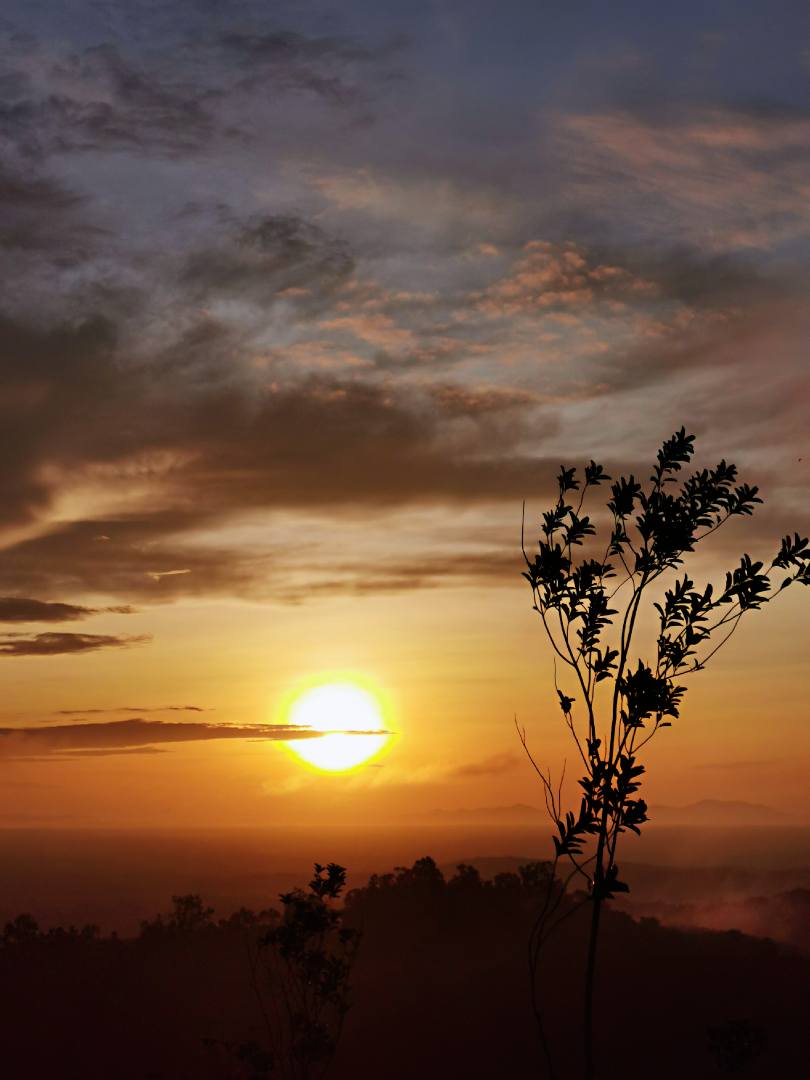 **已签发(请置头条)**柔:封面:特稿:【复苏期中乡镇游】之麻坡篇:走进渔村体验悠闲,到巴冬走一趟人文生态之旅