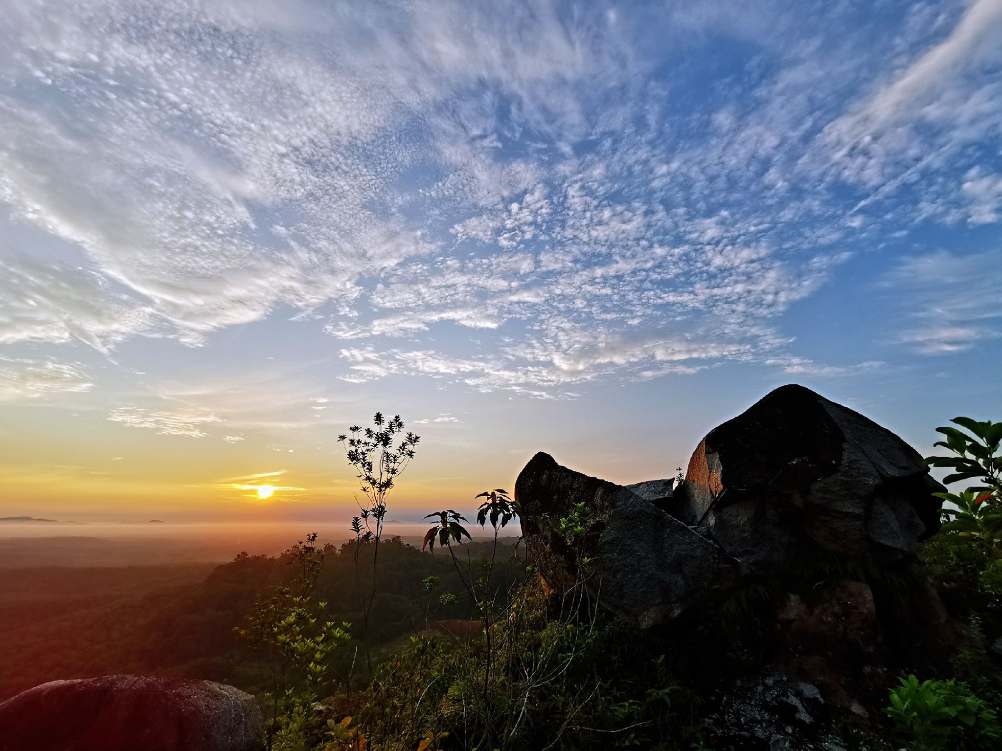 **已签发(请置头条)**柔:封面:特稿:【复苏期中乡镇游】之麻坡篇:走进渔村体验悠闲,到巴冬走一趟人文生态之旅
