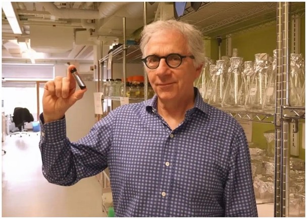 拼盘/干细胞疗法治愈一型糖尿病 全球首例