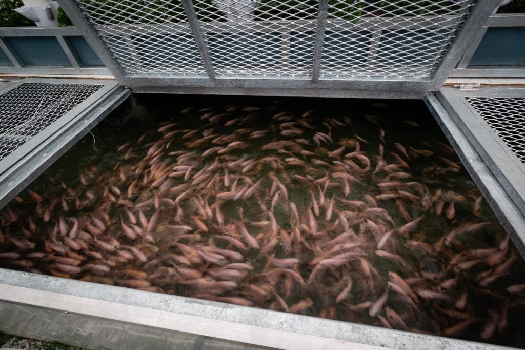 新教育(11月9日)第2版:大学初创企业孵化器培养出城市E农场创办人