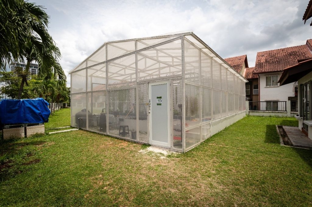 新教育(11月9日)第2版:大学初创企业孵化器培养出城市E农场创办人