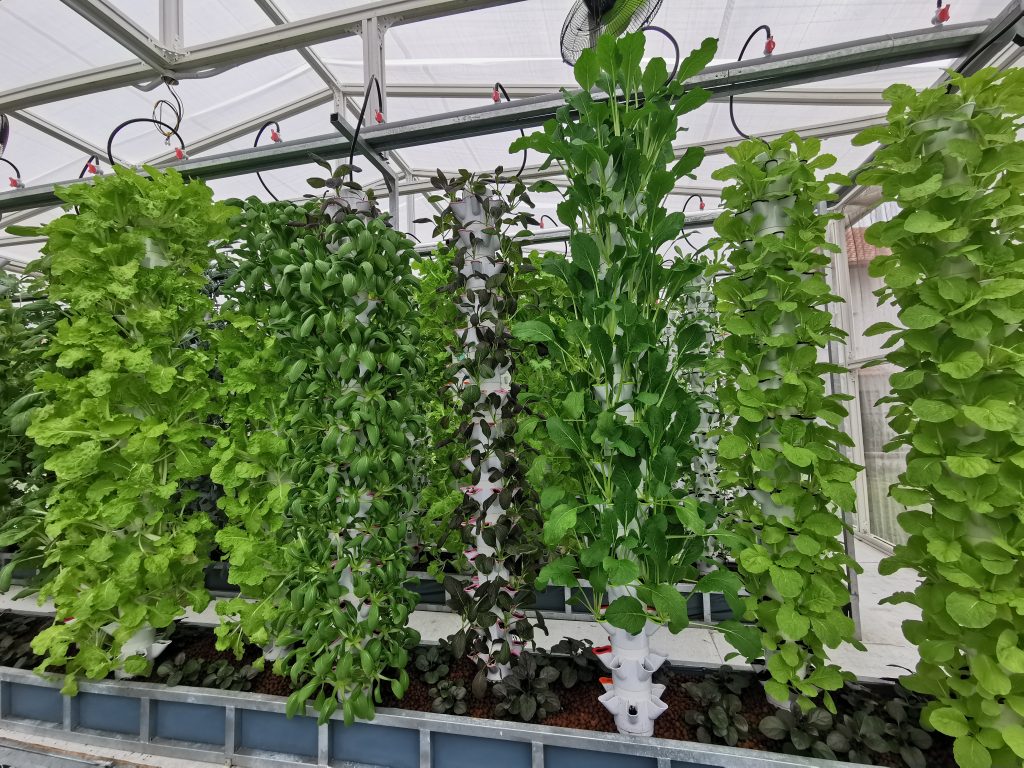 新教育(11月9日)第2版:大学初创企业孵化器培养出城市E农场创办人