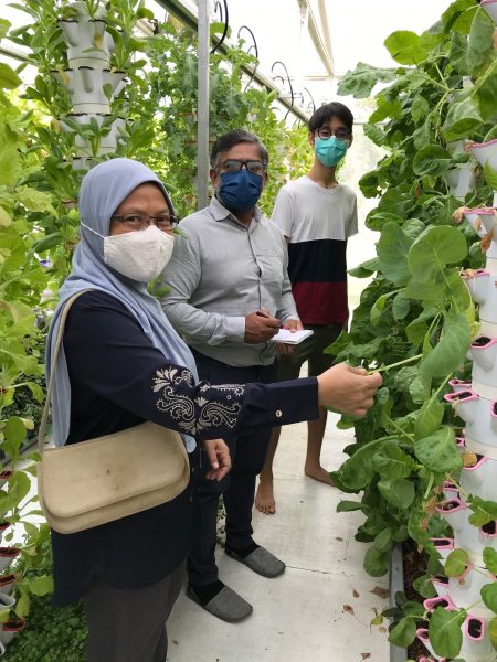 新教育(11月9日)第2版:大学初创企业孵化器培养出城市E农场创办人