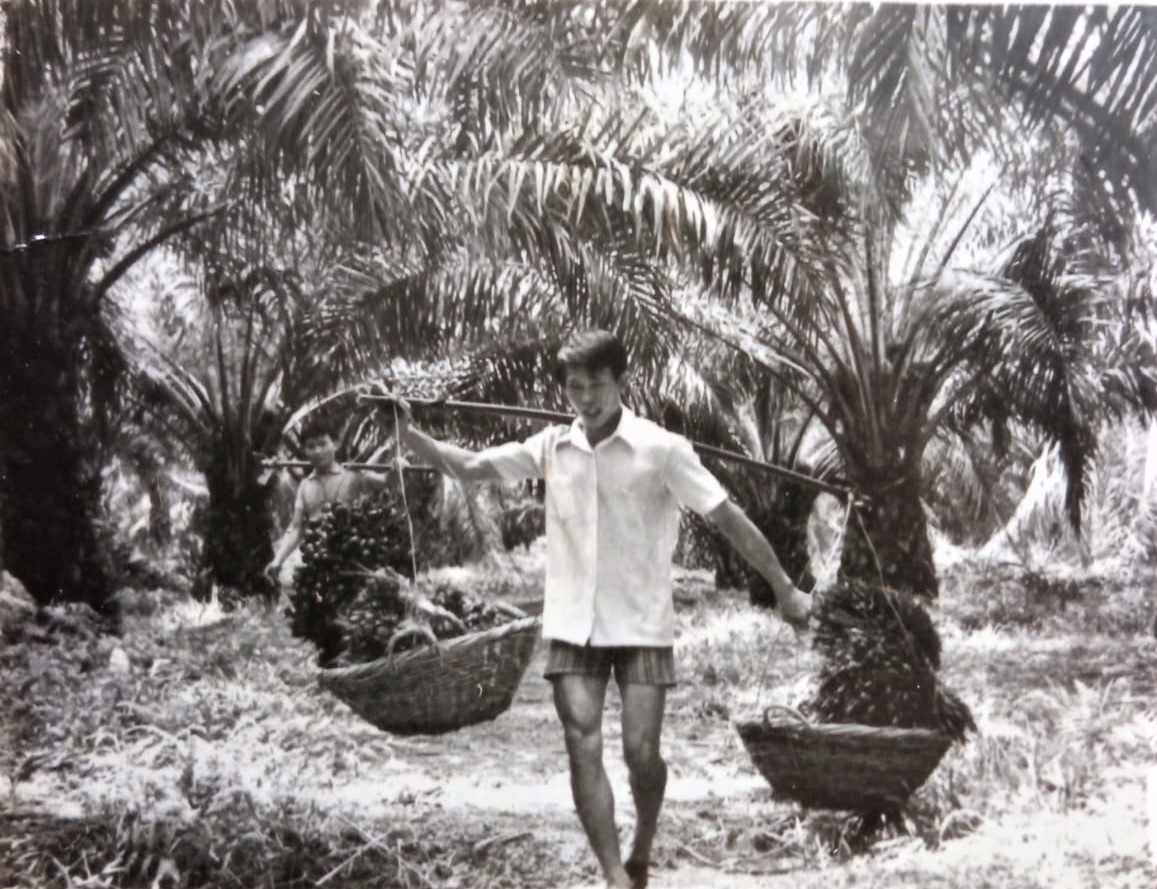有故事的人（见报日23/11）：70年代的割棕果工人