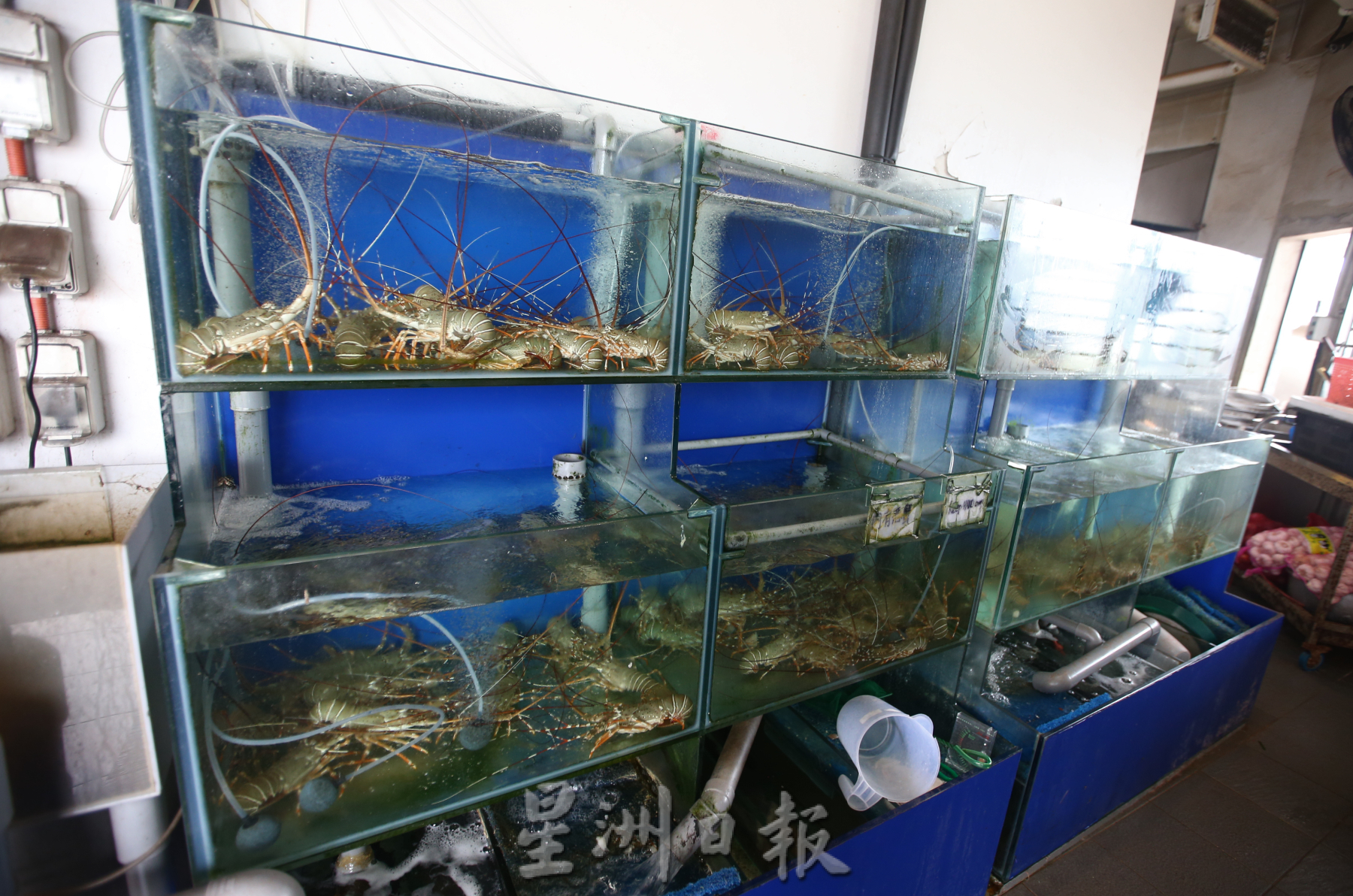 柔:【食客指路】:(11月30日刊登):居銮中医师怀念记忆中的老味道,边佳兰重遇掌厨老师傅