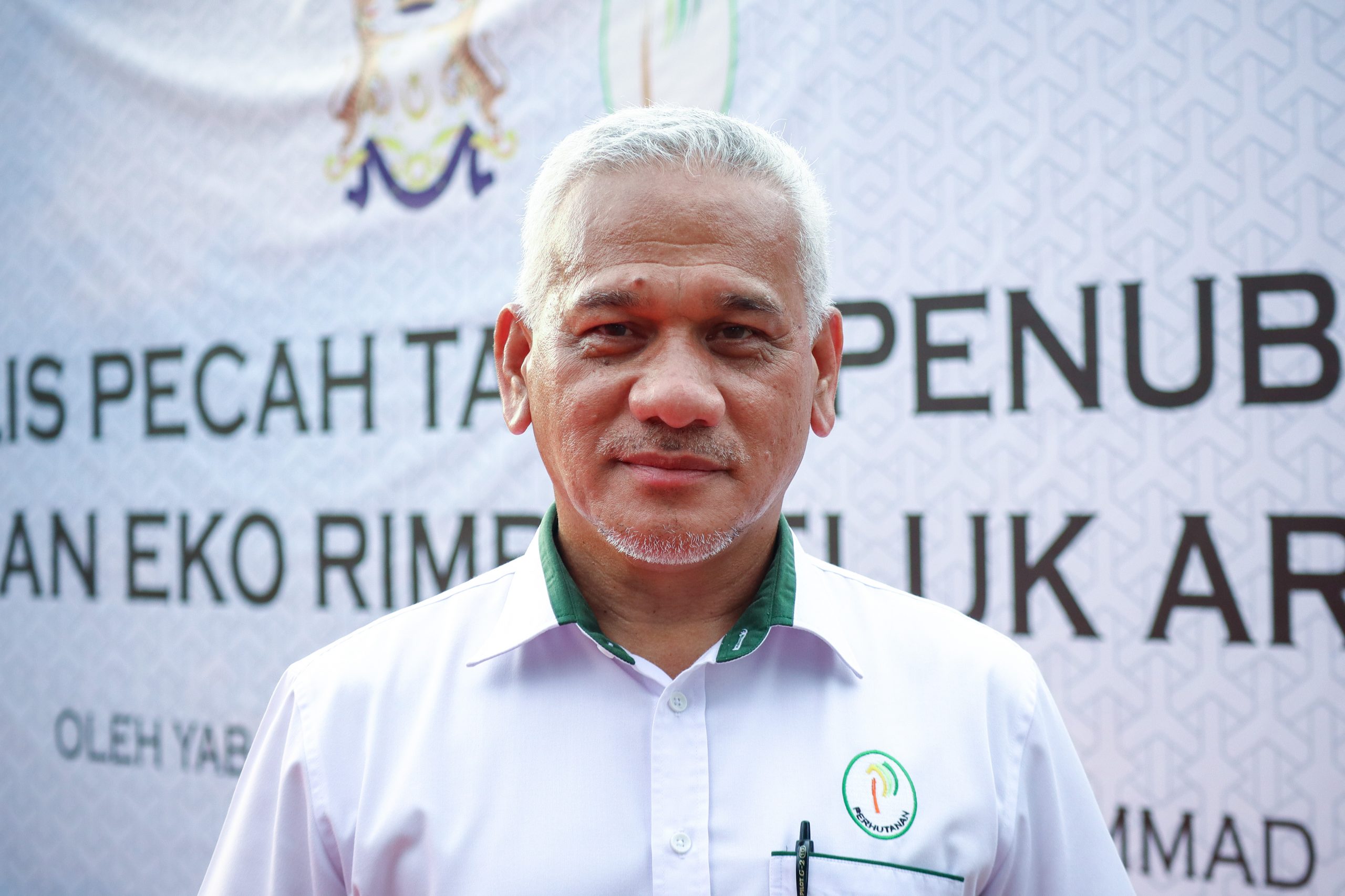 柔:丰盛港直落阿荣生态公园 种木麻黄树 变身韩南怡岛