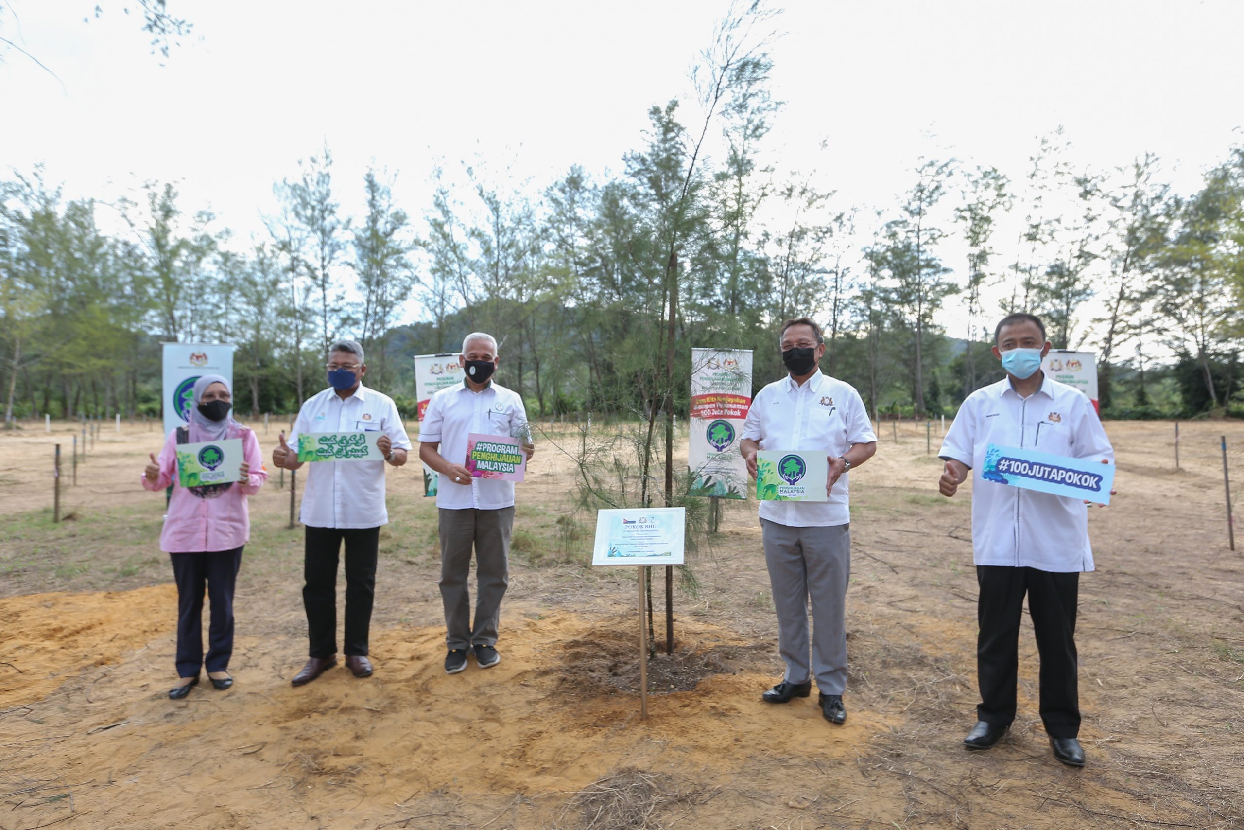 柔:丰盛港直落阿荣生态公园 种木麻黄树 变身韩南怡岛