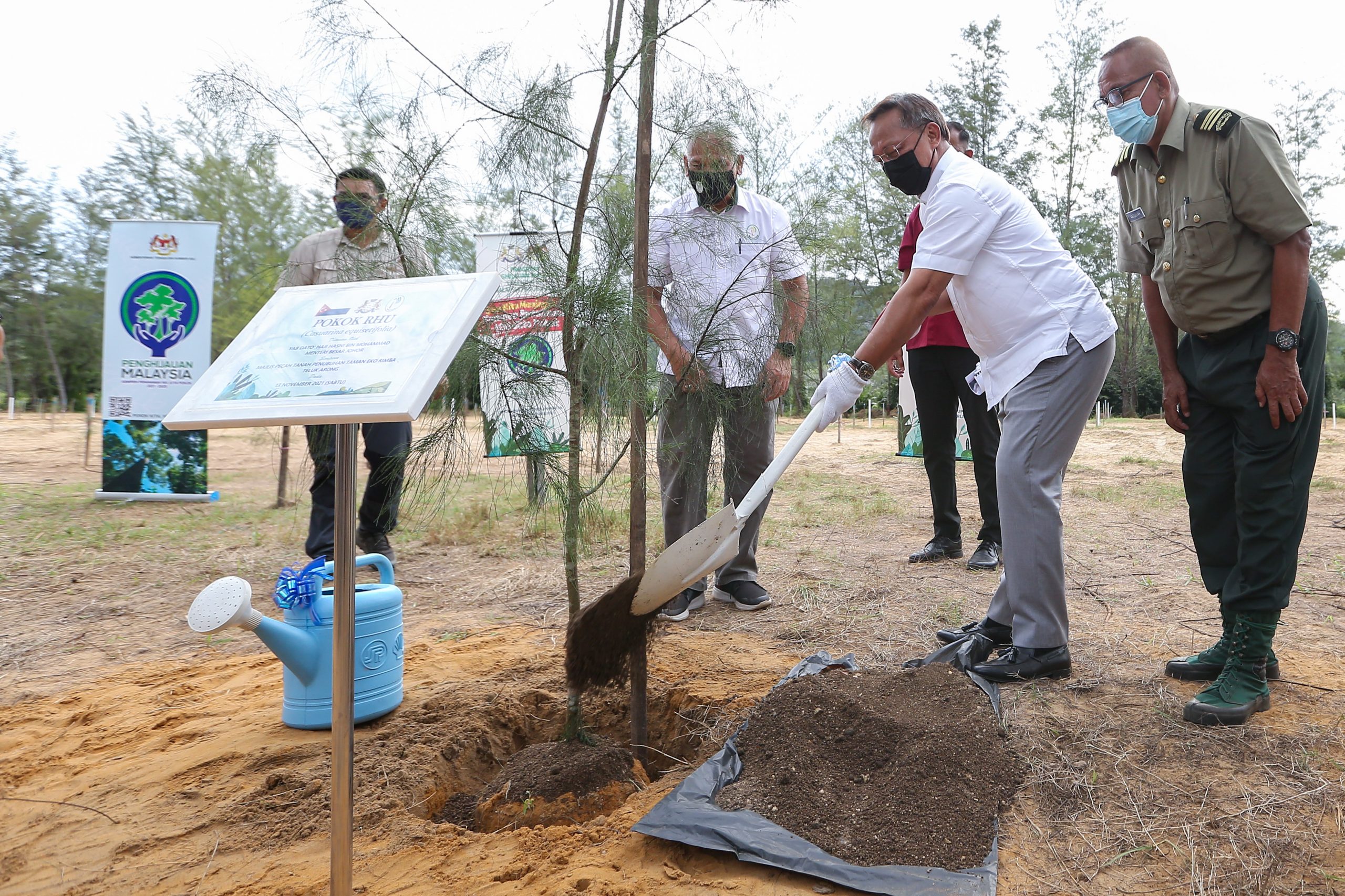 柔:丰盛港直落阿荣生态公园 种木麻黄树 变身韩南怡岛