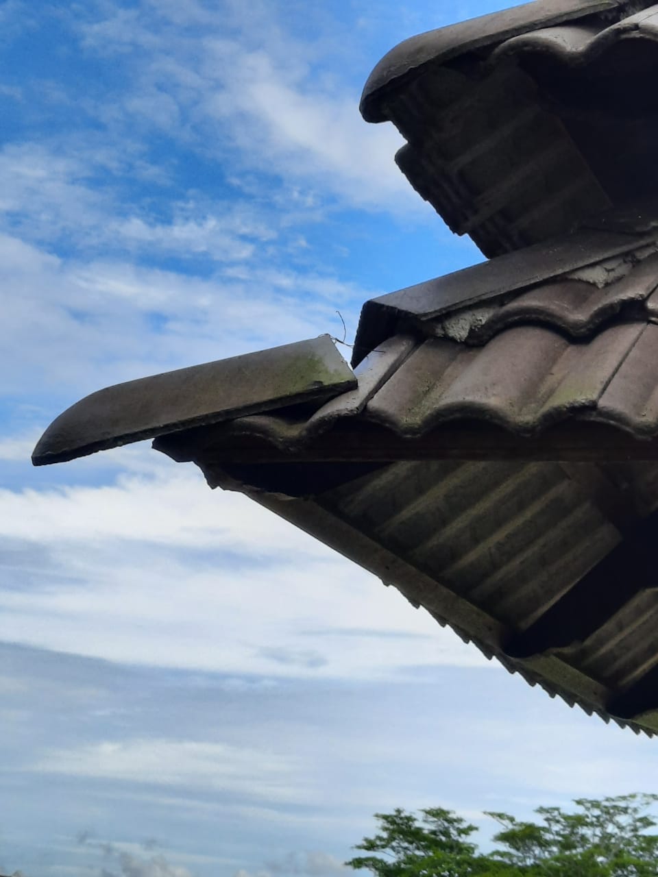 柔:公园凉亭变危亭,居民受促远离