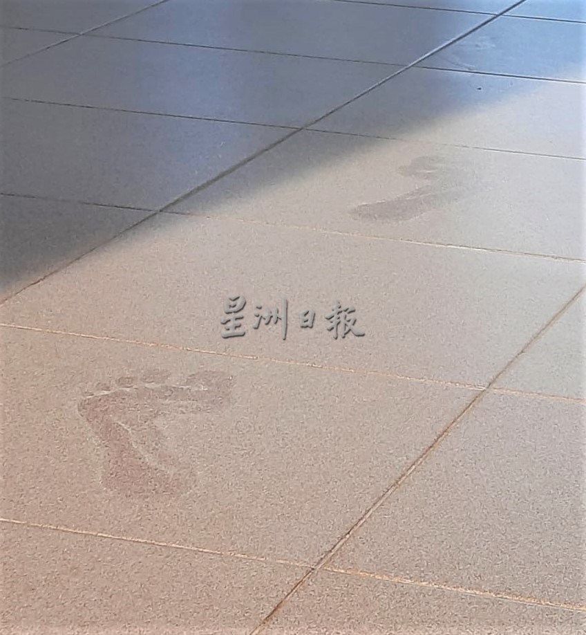 柔:实廊修路肇塞车 居民闻“尘”色变