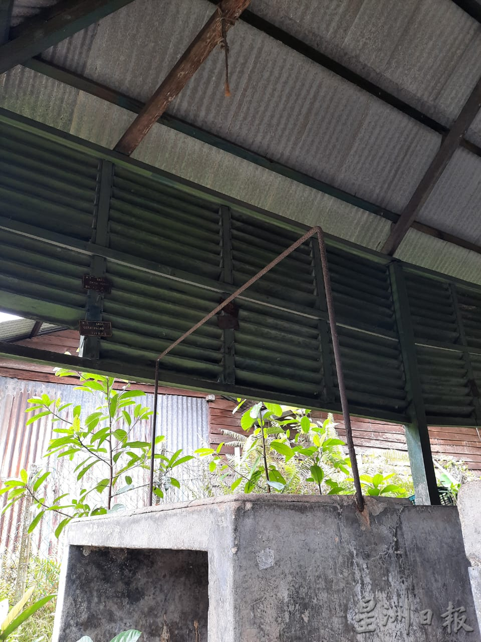 柔：封底：《这些人那些事》：砂益新村巴刹，辉煌到没落