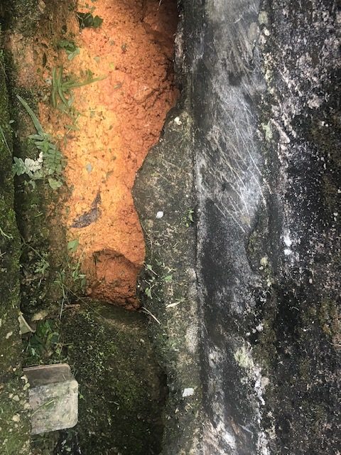 柔:新闻:后巷水沟坍塌没人理,恐蛇鼠藏身扰民