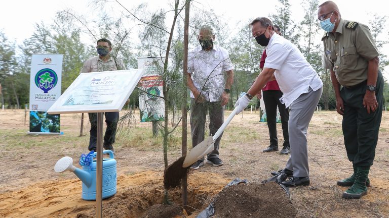 柔：新闻：州议会：阿威雅：目前已种25万棵  柔州2025年达400万棵树
