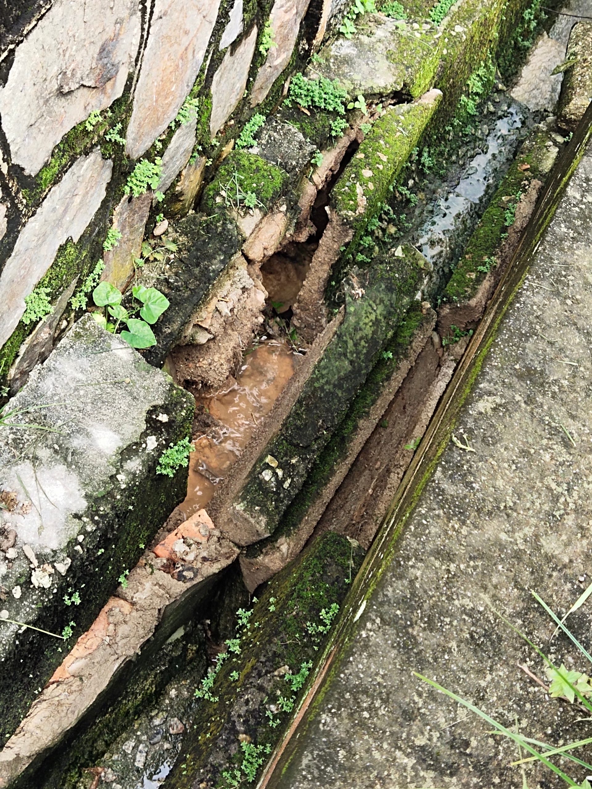柔：民生特工队：沟渠坍塌亟需维修  市议员：疫情耽搁如今将按部就班维修</p>
<p>