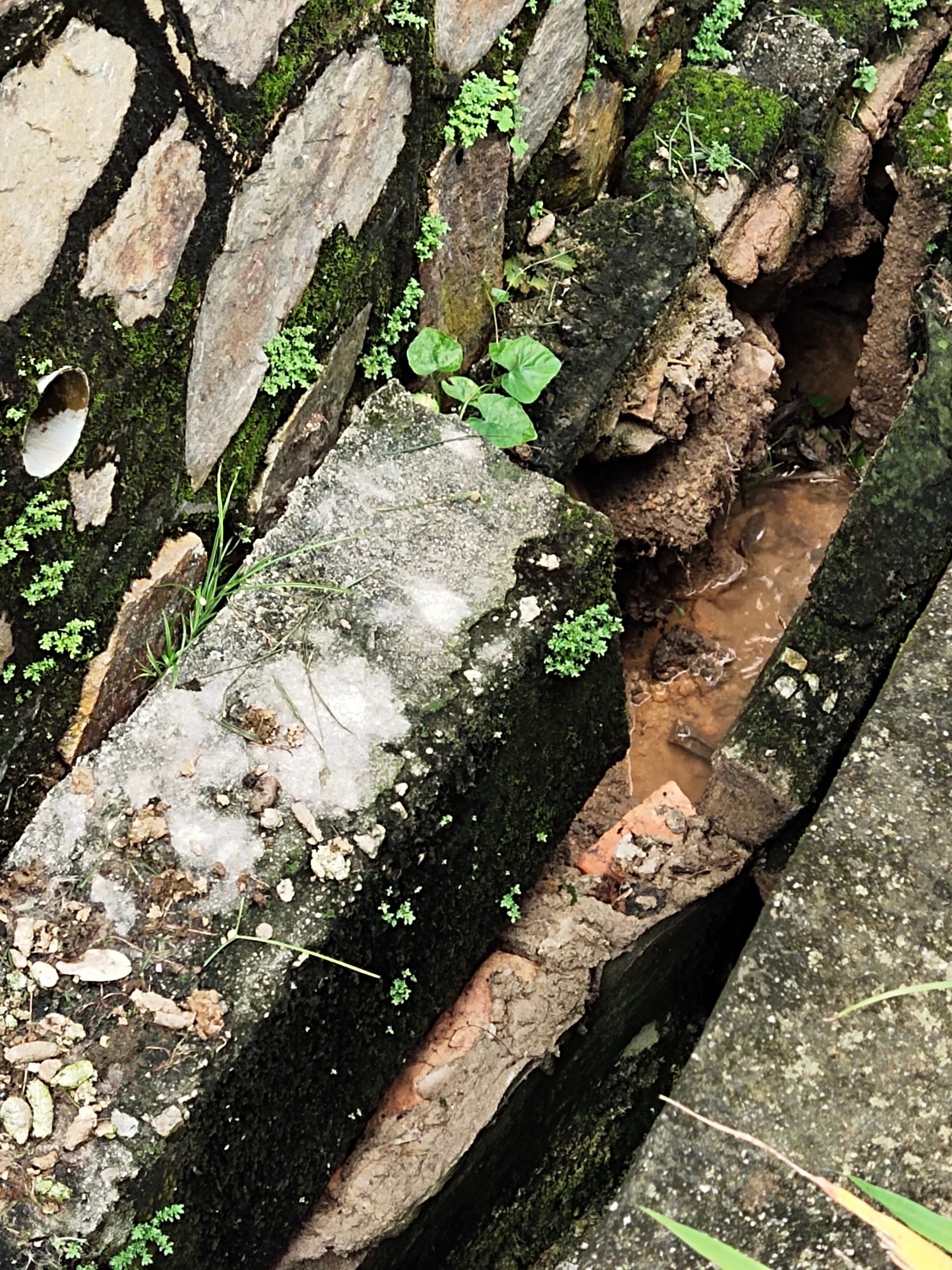 柔：民生特工队：沟渠坍塌亟需维修  市议员：疫情耽搁如今将按部就班维修</p>
<p>