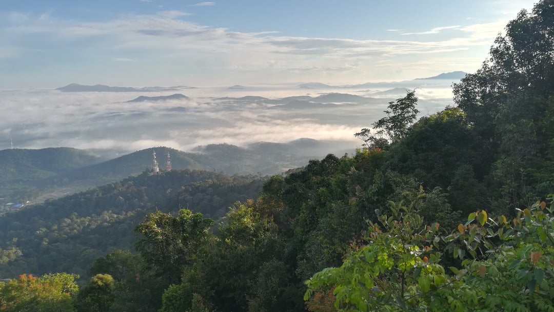 柔:特稿:【复苏期中乡镇游】之居銮:漫步老街登高望远,居銮也可以这样玩