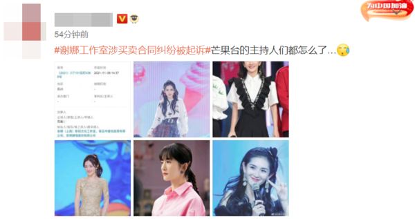 涉买卖合同纠纷 谢娜工作室被起诉 