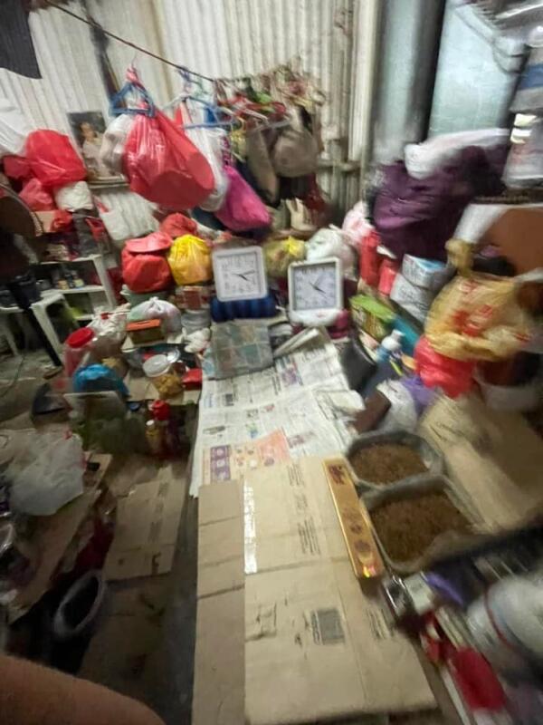 狮城六旬妇独居旧墓园铁皮屋 养50猫鸟 鼠蚁横行粪满地