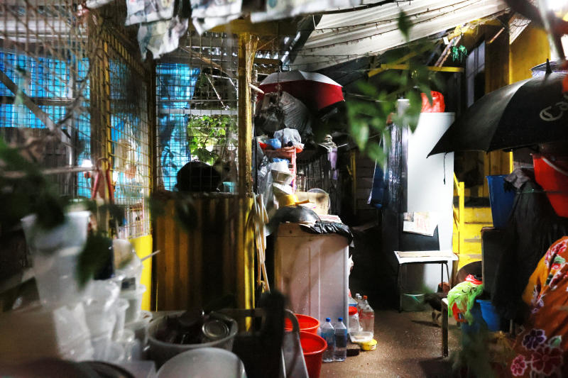 狮城六旬妇独居旧墓园铁皮屋 养50猫鸟 鼠蚁横行粪满地