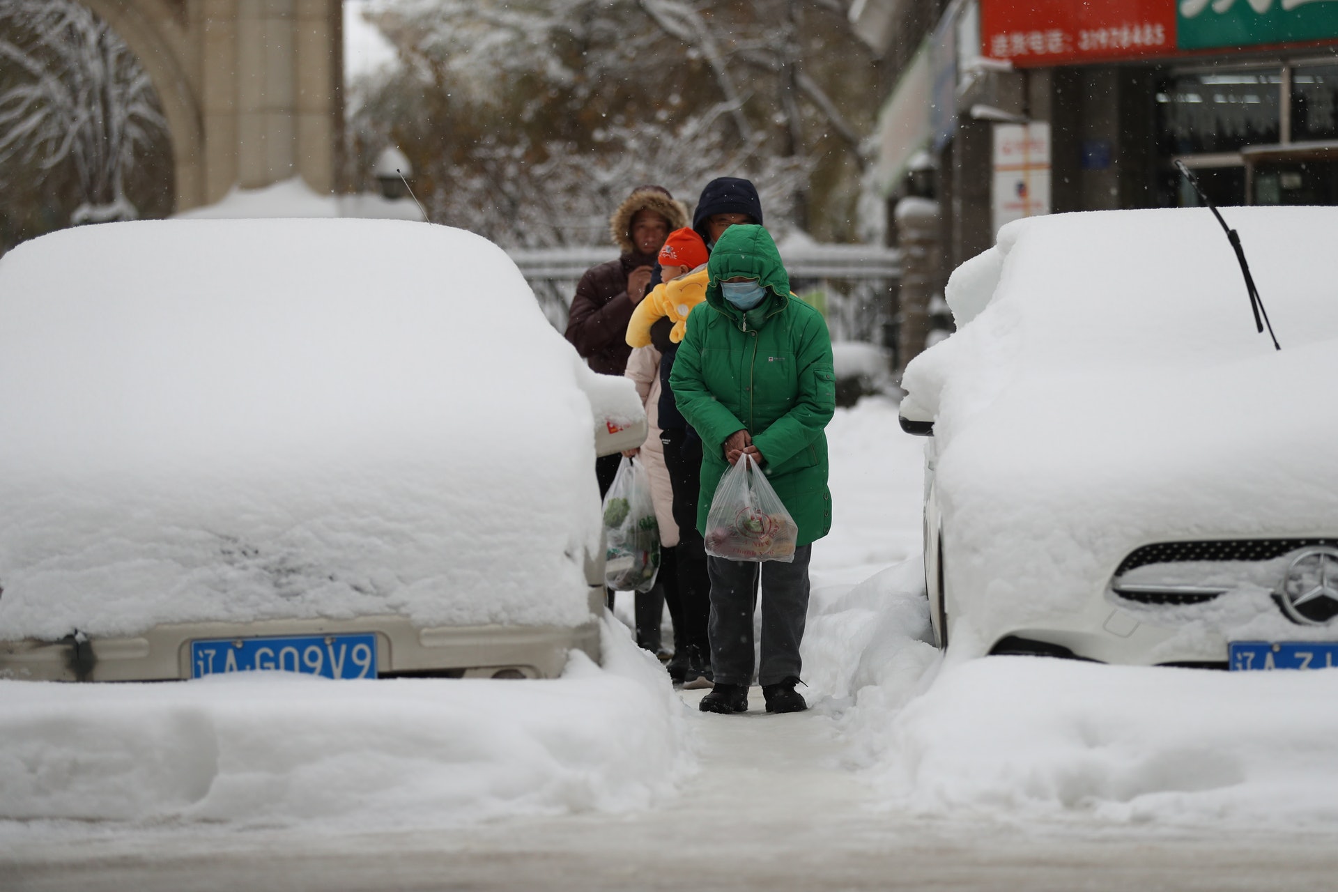 看世界)中国北方降雪量创近70年纪录 辽宁一级雪灾640万只禽畜冻死