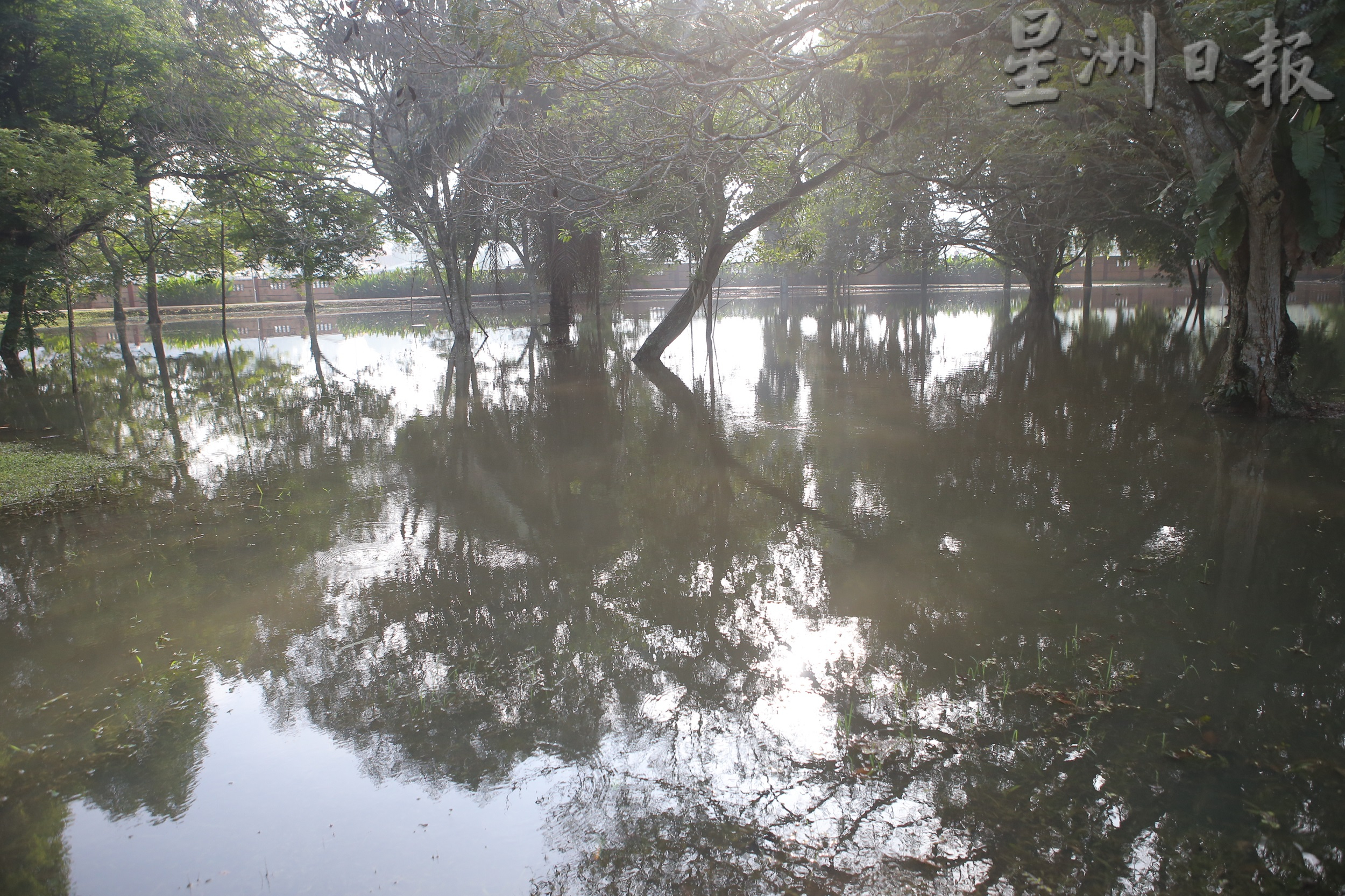 社区动态／怡马球场公园 雨季部分淹水晨运不便