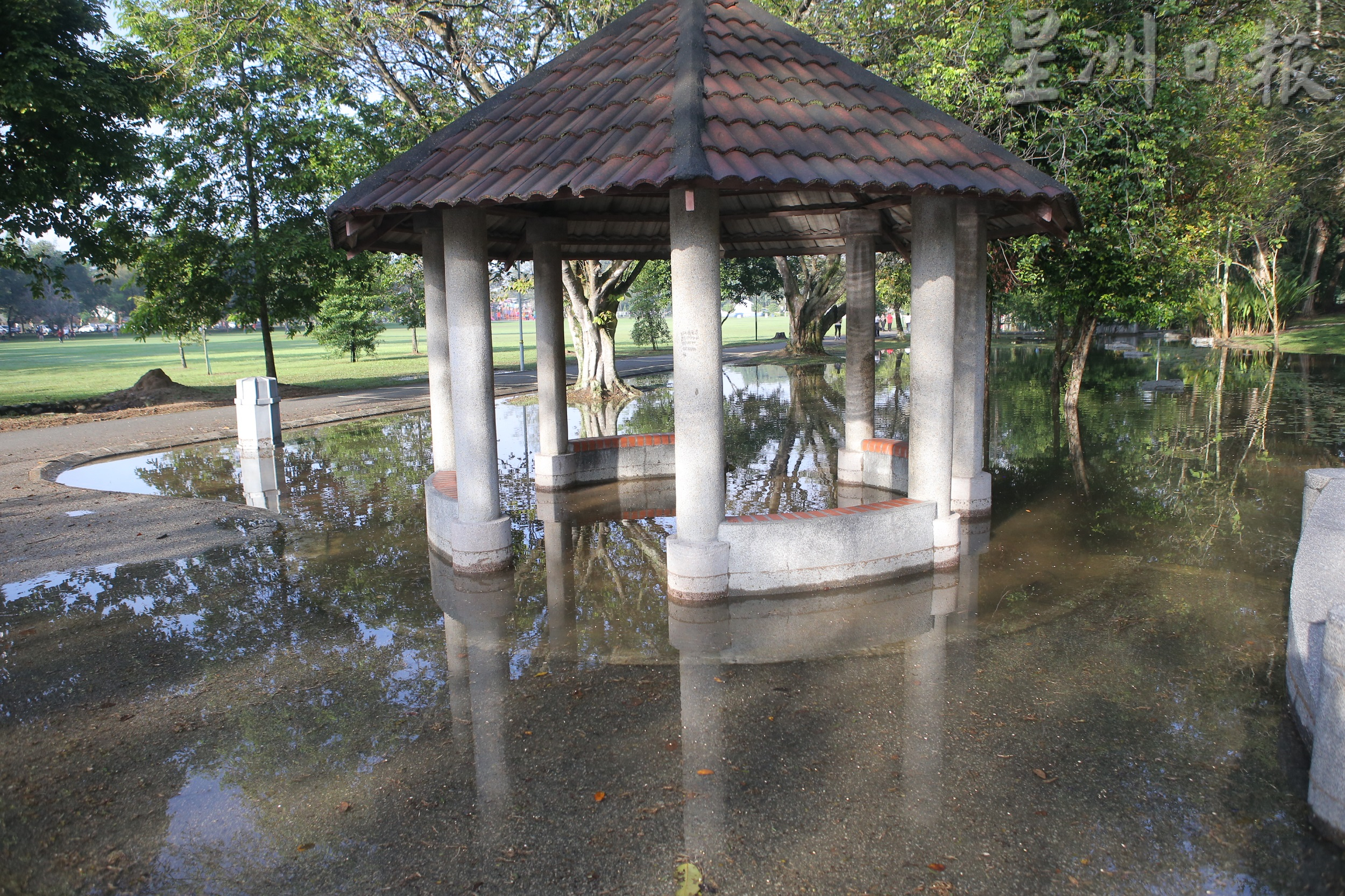 社区动态／怡马球场公园 雨季部分淹水晨运不便