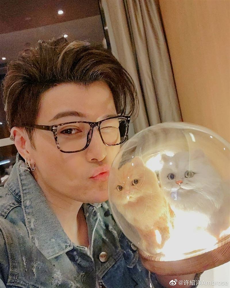 许绍洋卖货标错价惨赔66万喊心疼 网民质疑“营销手段”