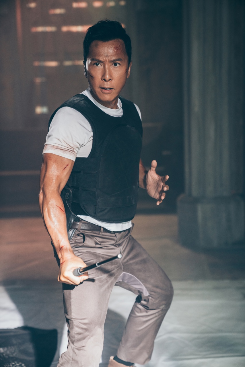 设计和谢霆锋高难度对打戏　甄子丹曝是向自己致敬