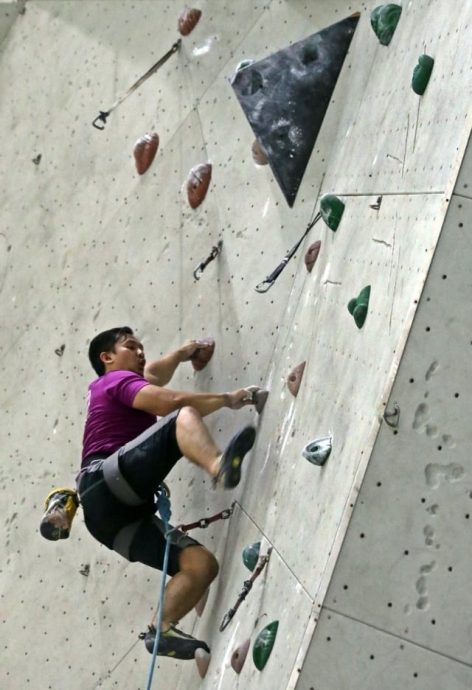 绍嘉纳绿色公园内种有许多松树、南洋杉树等绿色植物，部分植物的绿叶在这时节看来，让人有走入秋天的感觉。