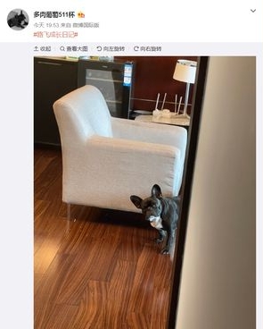 遭封杀后首现身  张哲瀚悄开小号要回归？