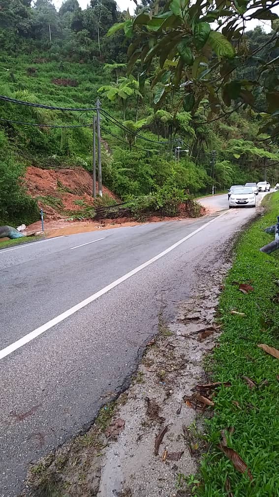 金马仑暴风雨树倒压车  至少6处土崩影响交通